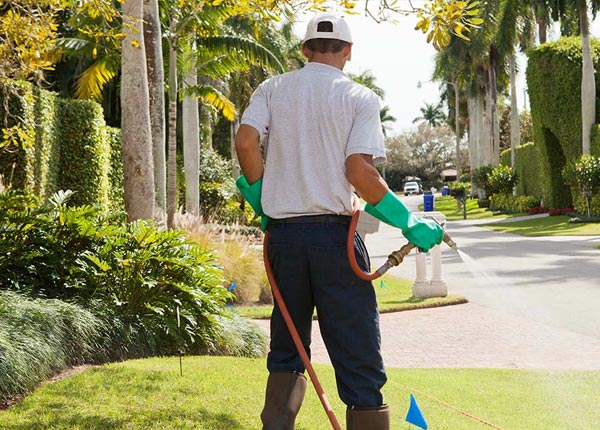 About Avenel NJ Pest Control Pros